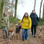 Drei Frauen führen Tierheim-Hunde aus