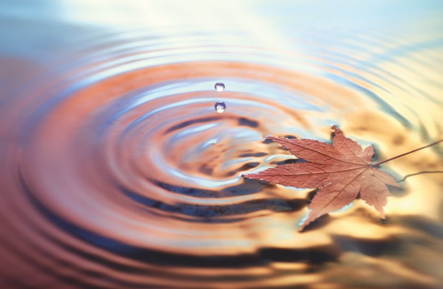 Herbstlich buntes Blatt schwimmt auf dem Wasser