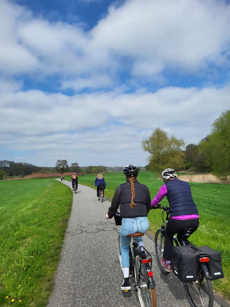 Radfahrer von hinten im Grünen